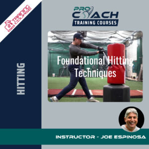 Foundational Hitting Techniques